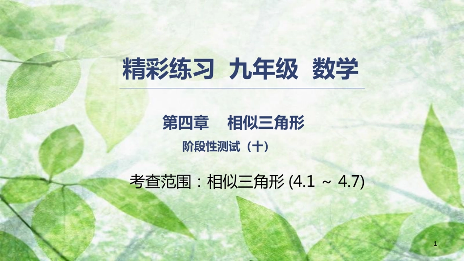 九年级数学上册 第四章 相似三角形阶段性测试（十）优质课件 （新版）浙教版_第1页