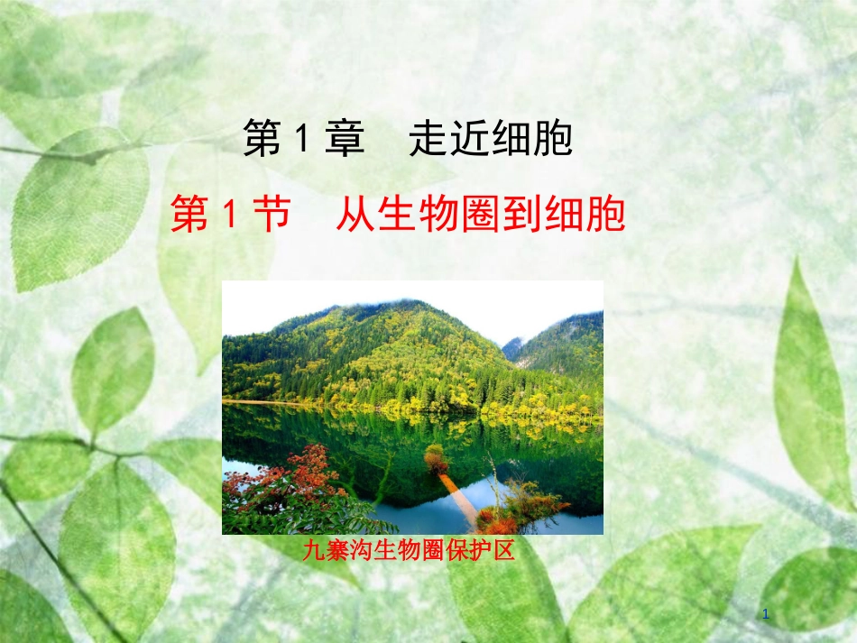 高中生物 第一章 走近细胞 1.1 从生物圈到细胞情境互动课型优质课件 新人教版必修1_第1页