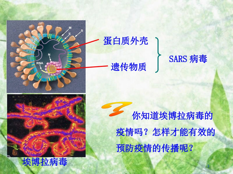 高中生物 第一章 走近细胞 1.1 从生物圈到细胞情境互动课型优质课件 新人教版必修1_第3页