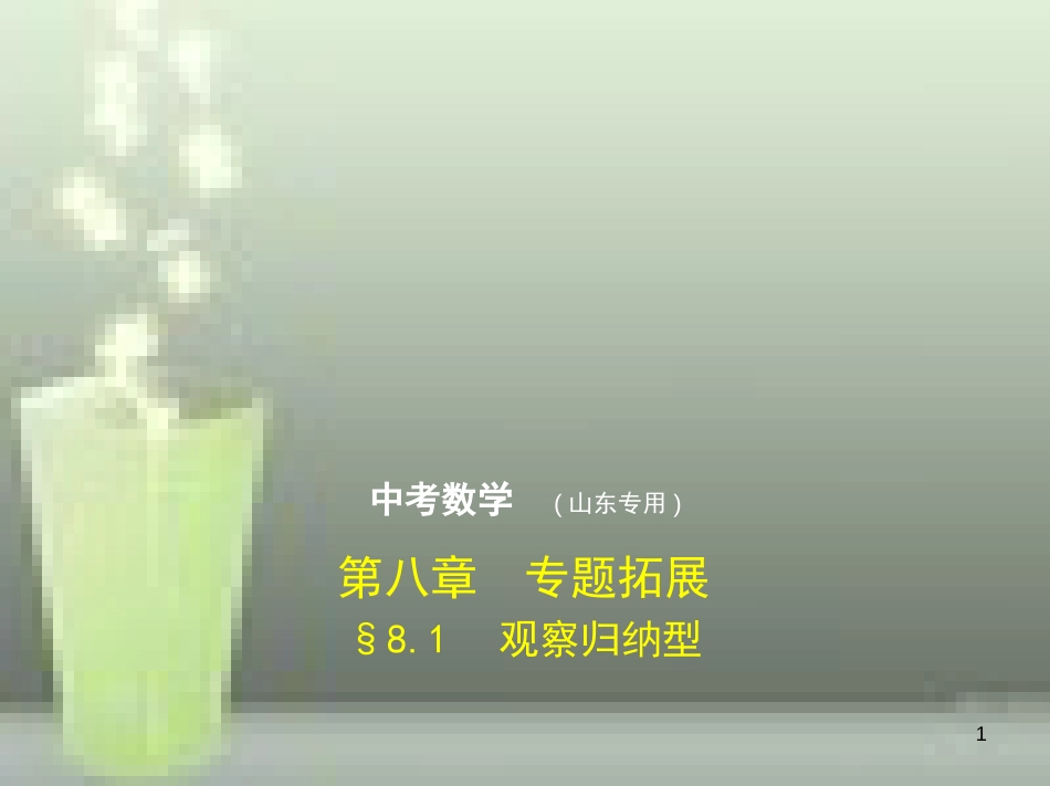 （山东专版）2019版中考数学总复习 第八章 专题拓展 8.1 观察归纳型（试卷部分）优质课件_第1页