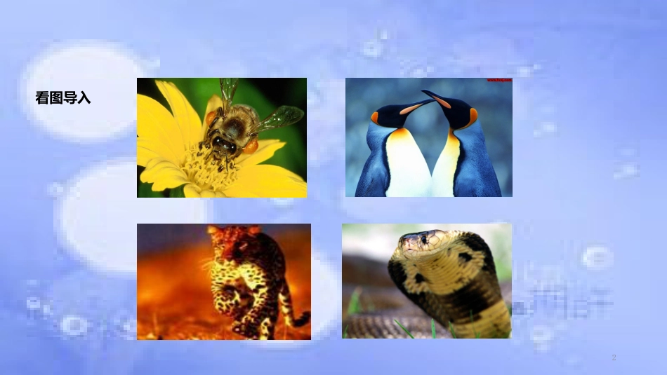 八年级生物上册 5.3《动物在生物圈中的作用》教学课件 （新版）新人教版_第2页
