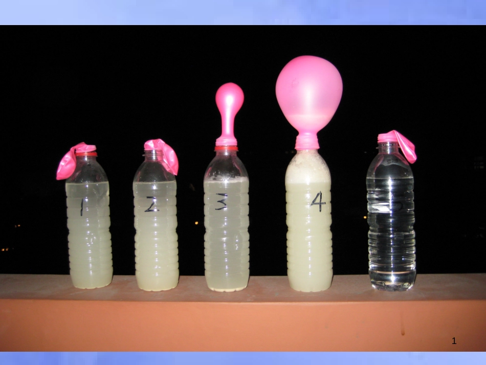 高中生物 第二章 生物科学与工业 2.2 酶在工业生产中的应用1课件 浙科版选修2_第1页