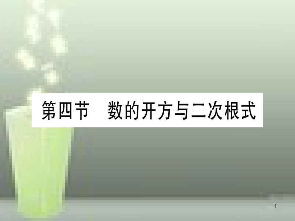 （云南专用）2019中考数学 第一轮 考点系统复习 第1章 数与式 第4节 数的开方与二次根式作业优质课件_第1页