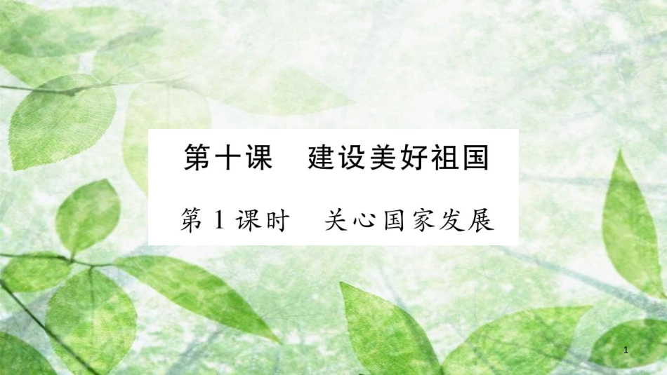 八年级道德与法治上册 第4单元 维护国家利益 第10课 建设美好祖国 第1框 关心国家发展习题优质课件 新人教版_第1页