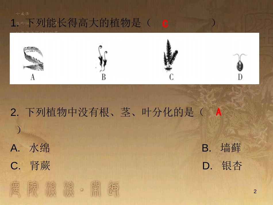 七年级生物上册 第三单元 第一章 第一节 藻类、苔藓和蕨类植物课堂十分钟优质课件 （新版）新人教版_第2页