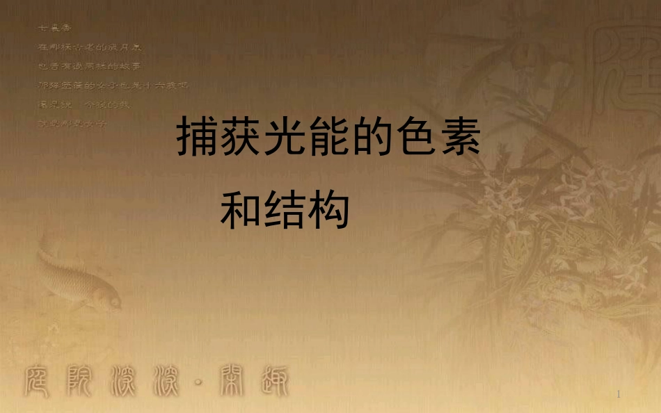 高中生物 第五章 细胞的能量供应和利用 捕获光能的色素和结构优质课件 新人教版必修1_第1页