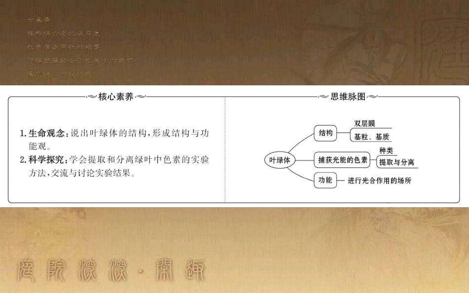 高中生物 第五章 细胞的能量供应和利用 捕获光能的色素和结构优质课件 新人教版必修1_第2页