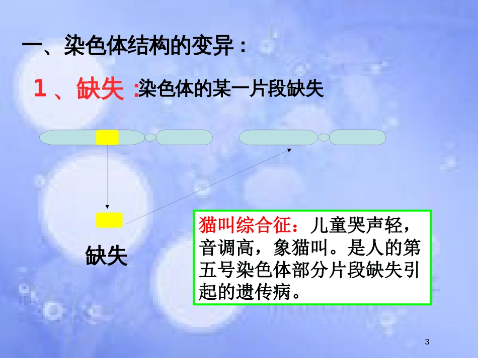 福建省寿宁县高中生物 第五章 基因突变及其他变异 5.2 染色体变异课件 新人教版必修2_第3页