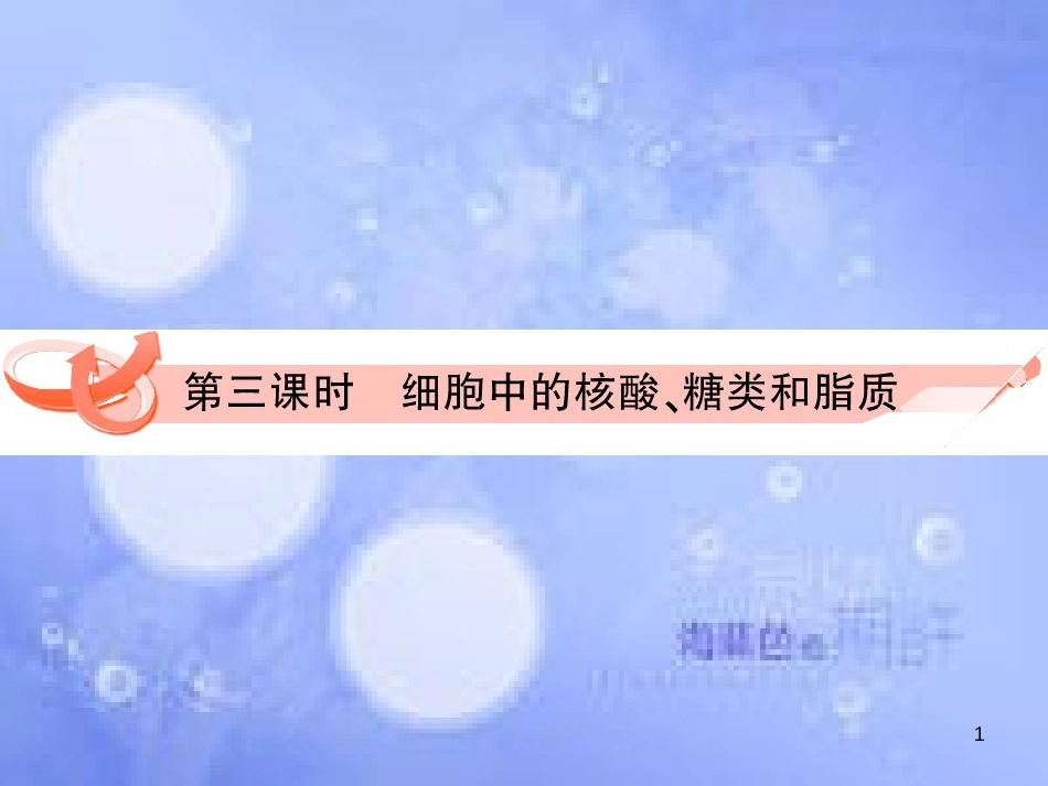 高三生物一轮复习 第二章 遗传信息的携带者──核（第3课时）精品课件（必修3）_第1页
