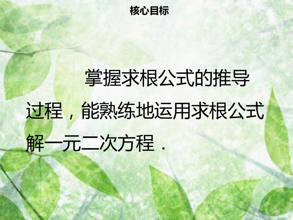 九年级数学上册 第二十一章 一元二次方程 21.2 解一元二次方程 21.2.2 公式法导学优质课件 （新版）新人教版_第2页