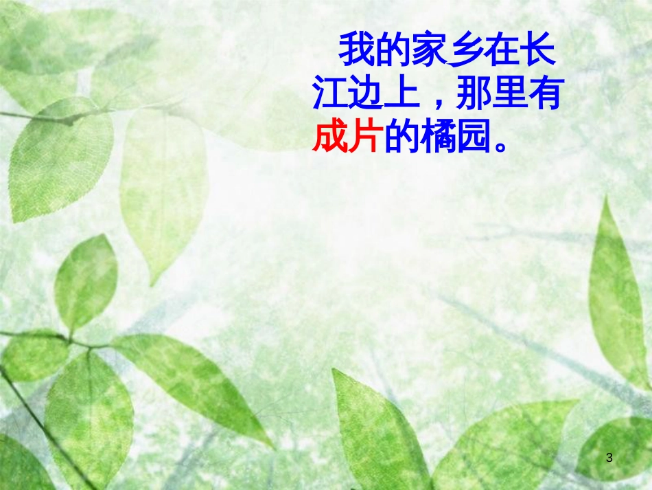 三年级语文上册 第二单元 家乡的红橘课件1 西师大版_第3页