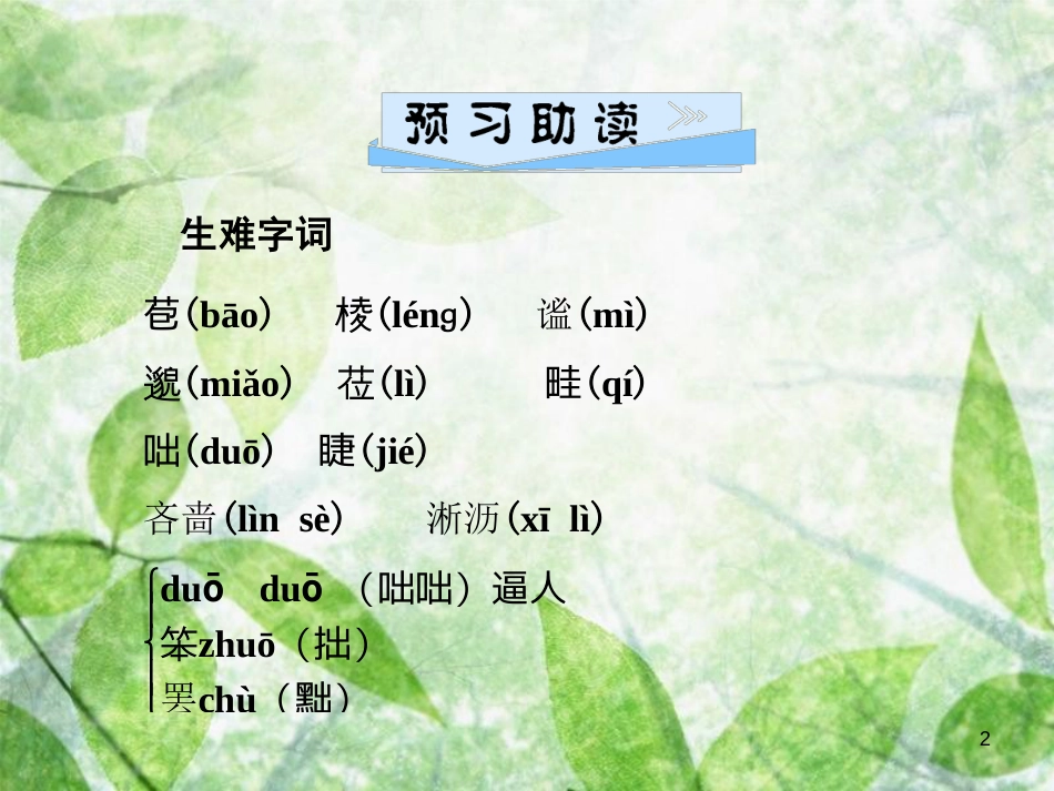 七年级语文上册 第一单元 3雨的四优质课件 新人教版_第2页