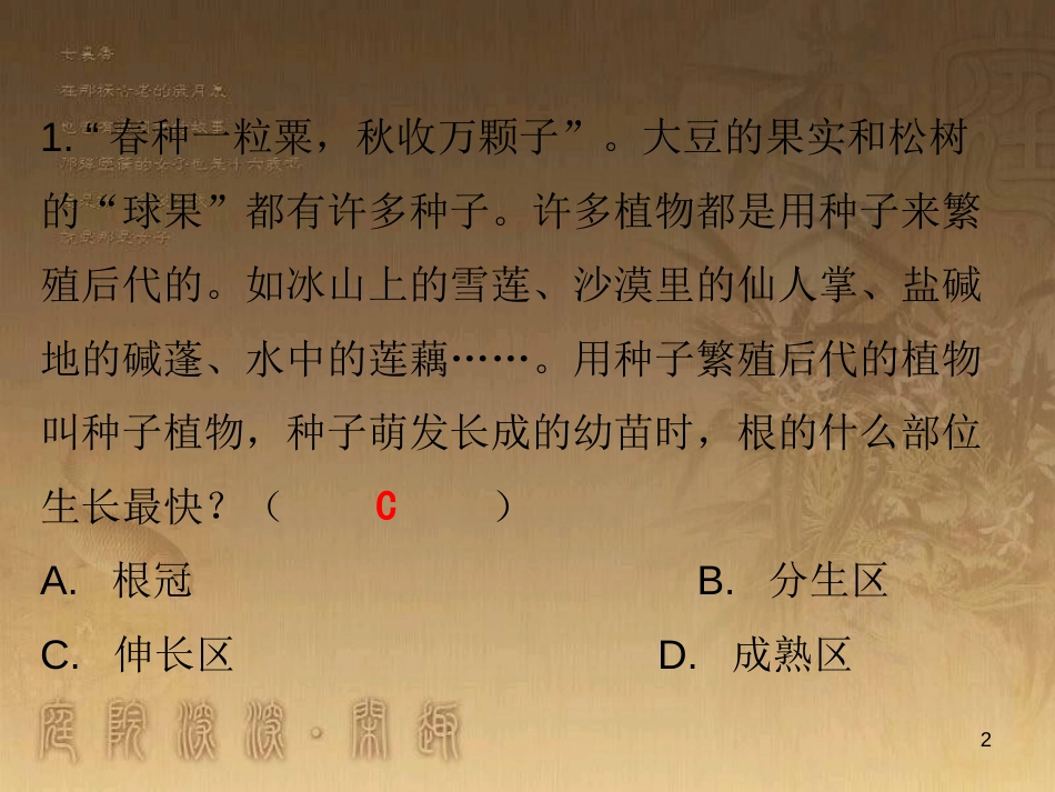七年级生物上册 第三单元 第二章 第二节 植株的生长课堂十分钟优质课件 （新版）新人教版_第2页