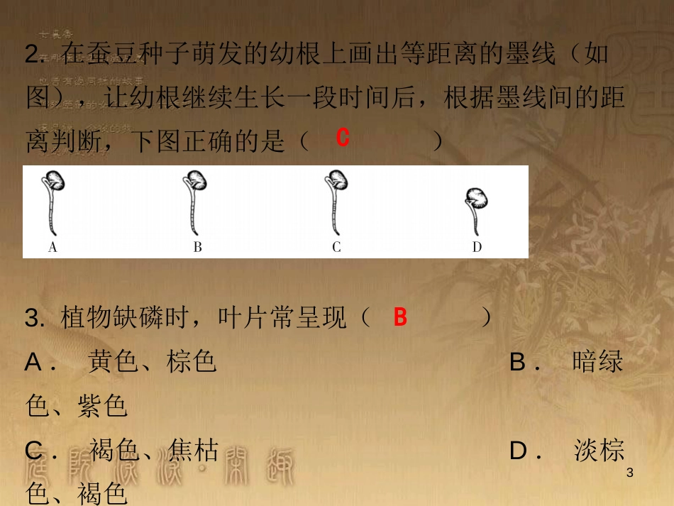 七年级生物上册 第三单元 第二章 第二节 植株的生长课堂十分钟优质课件 （新版）新人教版_第3页