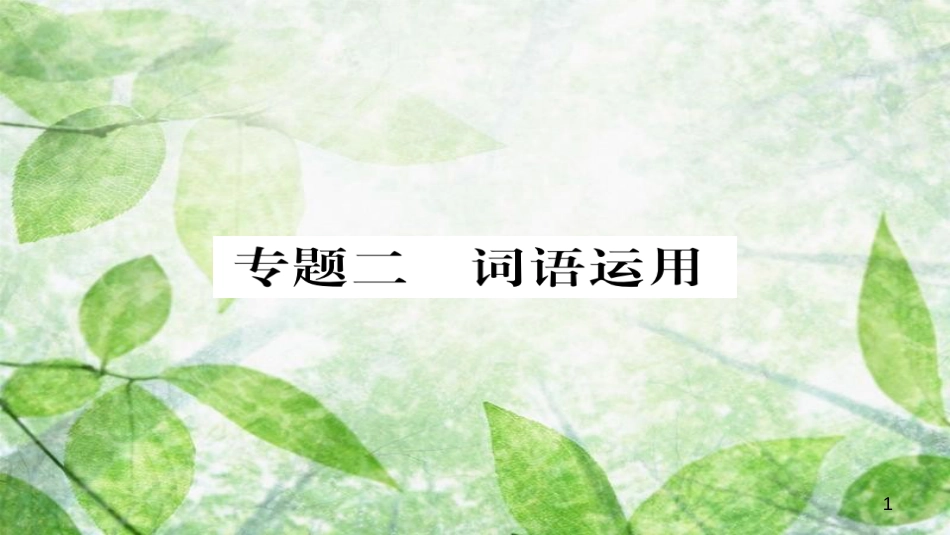 九年级语文上册 专题二 词语运用习题优质课件 新人教版_第1页