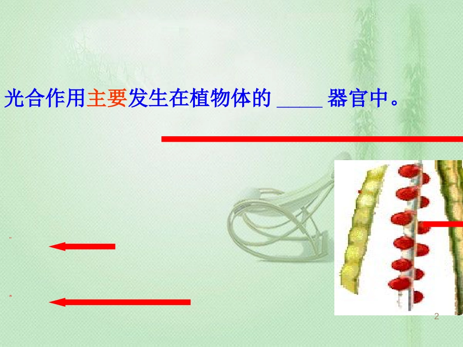 八年级生物上册 第3章 第3节光合作用的场所优质课件 （新版）冀教版_第2页