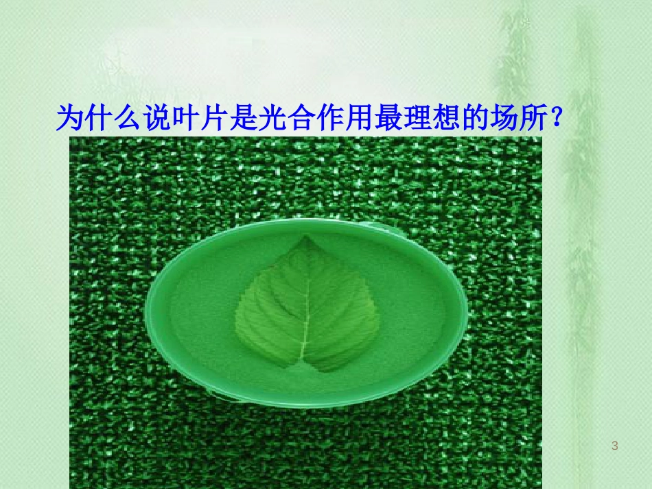 八年级生物上册 第3章 第3节光合作用的场所优质课件 （新版）冀教版_第3页