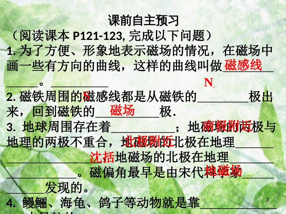 九年级物理全册 20.1 磁现象 磁场（第2课时）习题优质课件 （新版）新人教版_第3页