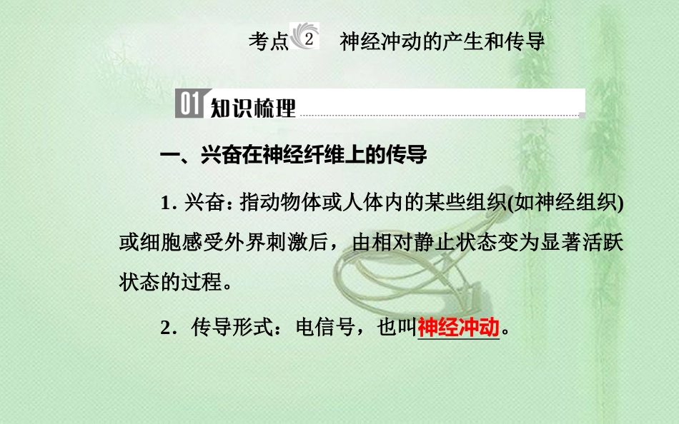 高中生物学业水平复习 专题十三 生物生命活动的调节 考点2 神经冲动的产生和传导优质课件_第1页