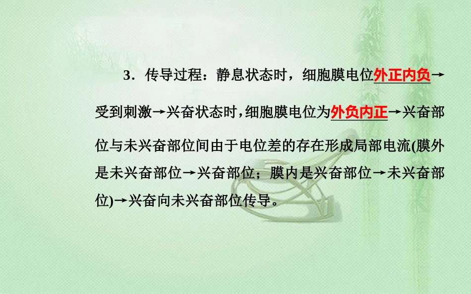 高中生物学业水平复习 专题十三 生物生命活动的调节 考点2 神经冲动的产生和传导优质课件_第2页