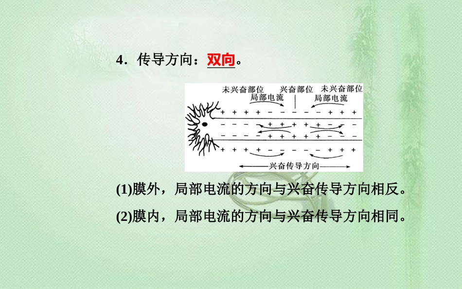 高中生物学业水平复习 专题十三 生物生命活动的调节 考点2 神经冲动的产生和传导优质课件_第3页