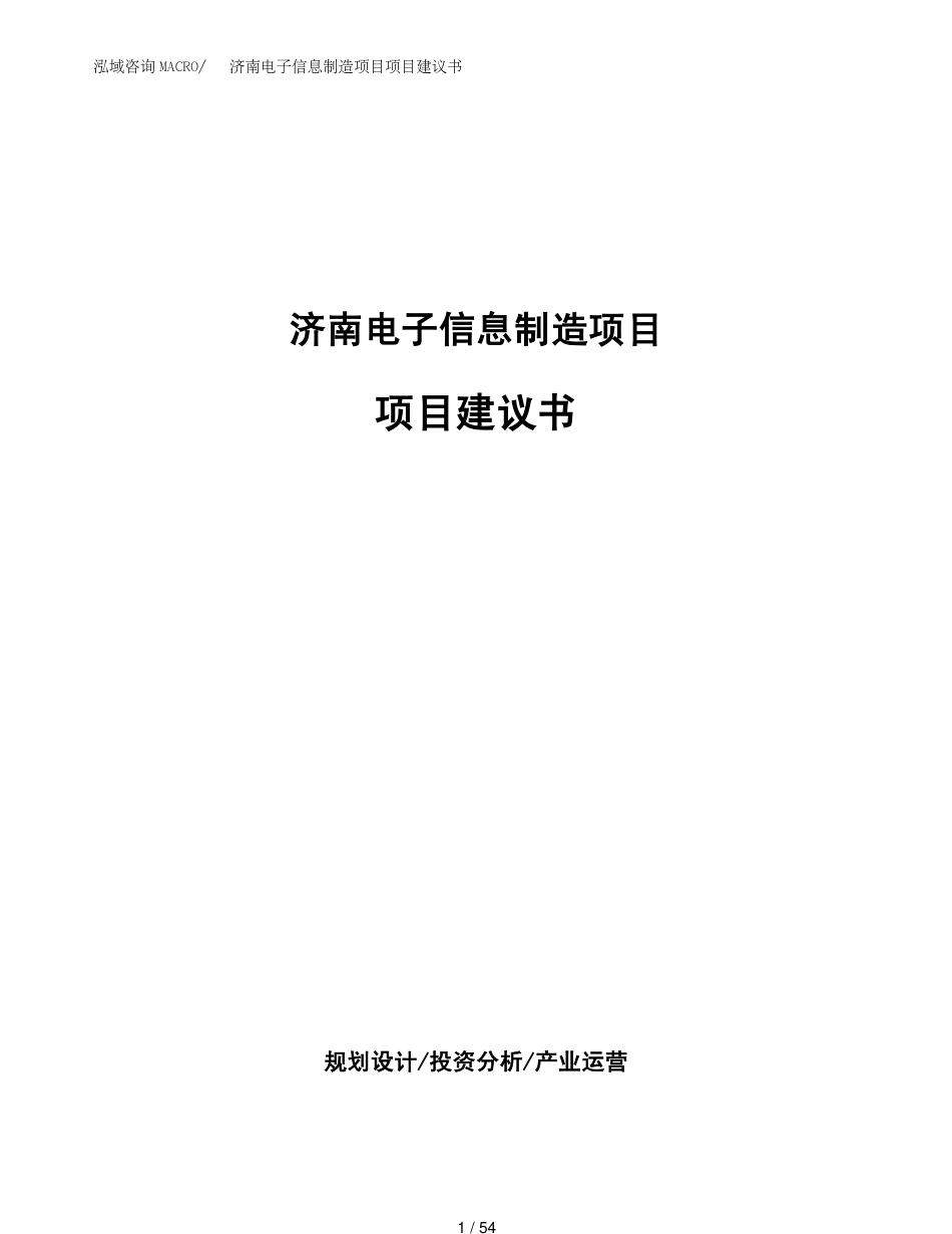 济南电子信息制造项目项目建议书(1)_第1页