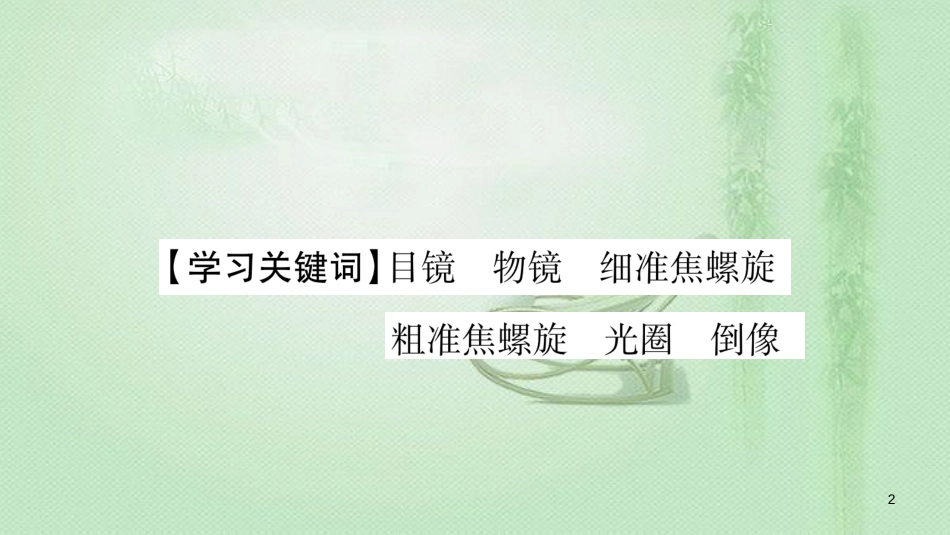 七年级生物上册 第2单元 第1章 第1节 练习使用显微镜习题优质课件 （新版）新人教版_第2页