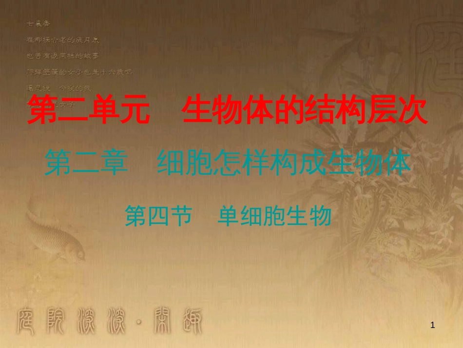 七年级生物上册 第二单元 第二章 第四节 单细胞生物优质课件 （新版）新人教版_第1页