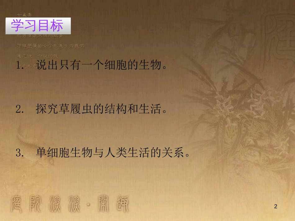 七年级生物上册 第二单元 第二章 第四节 单细胞生物优质课件 （新版）新人教版_第2页
