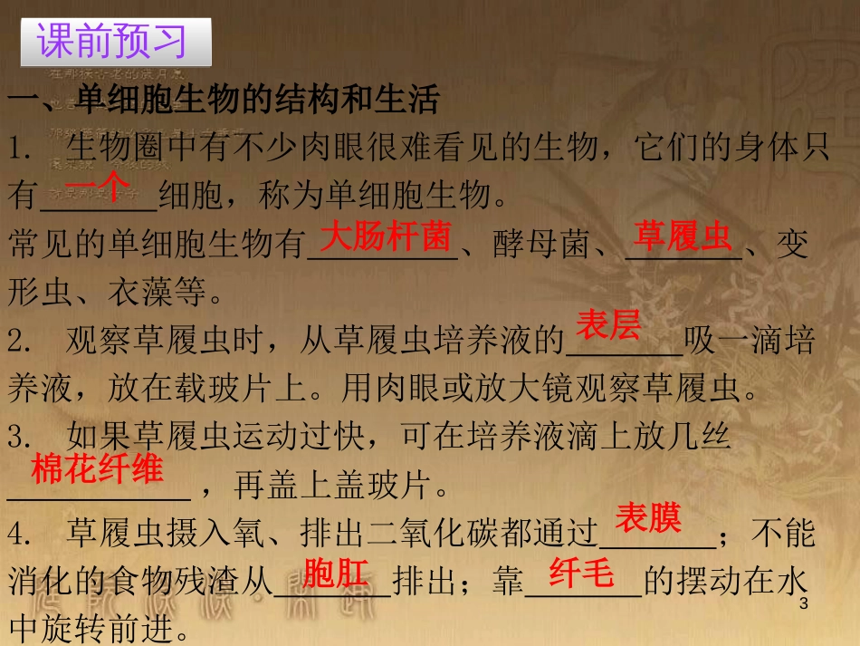 七年级生物上册 第二单元 第二章 第四节 单细胞生物优质课件 （新版）新人教版_第3页