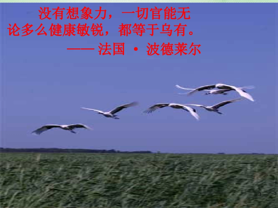 tnzAAA2018年七年级语文上册 第六单元 写作指导 发挥联想和想象优质课件 新人教版_第3页
