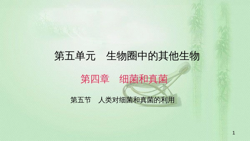八年级生物上册 第五单元 第四章 第五节 人类对细菌和真菌的利用优质课件 （新版）新人教版_第1页