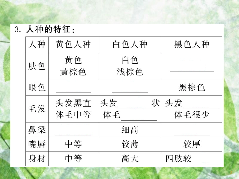 七年级地理上册 第三章 第二节 世界的人种习题优质课件 （新版）湘教版_第2页