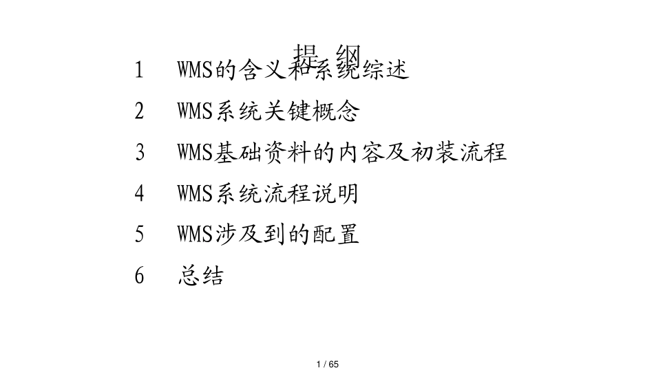 仓储管理系统WMS医药流通PPT67页_第1页