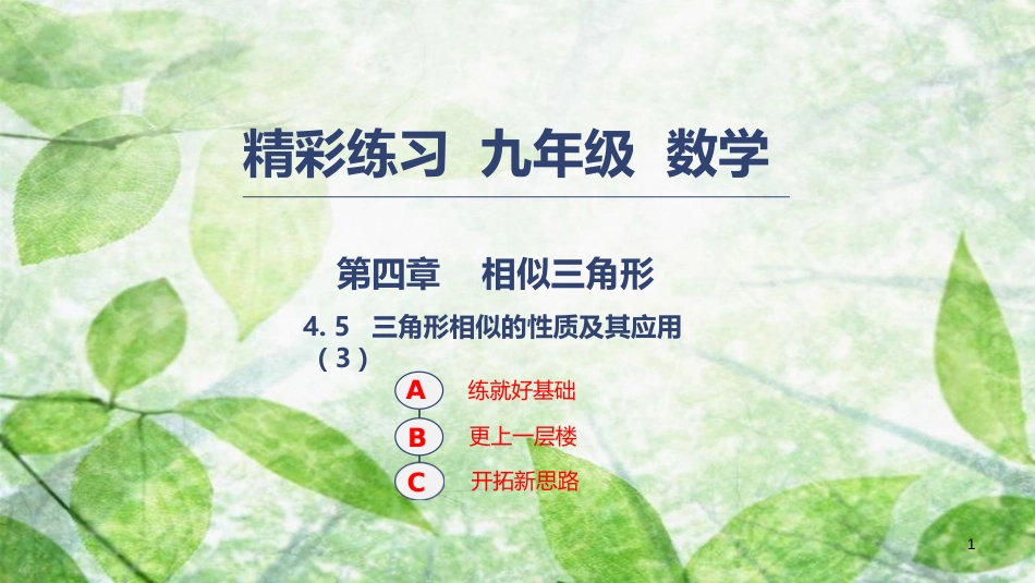 九年级数学上册 第四章 相似三角形 4.5 三角形相似的的性质及其应用（3）优质课件 （新版）浙教版_第1页