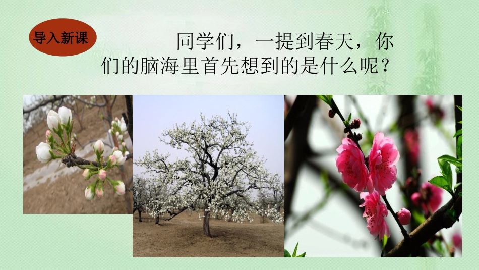 ihkAAA2018年七年级语文上册 第一单元 1 春优质课件 新人教版_第2页