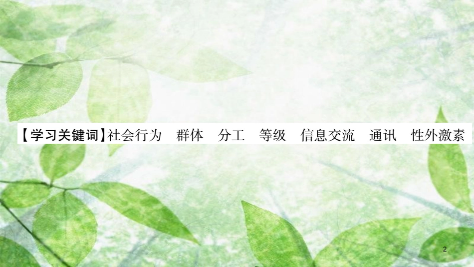 八年级生物上册 第5单元 第2章 第3节 社会行为习题优质课件 （新版）新人教版_第2页