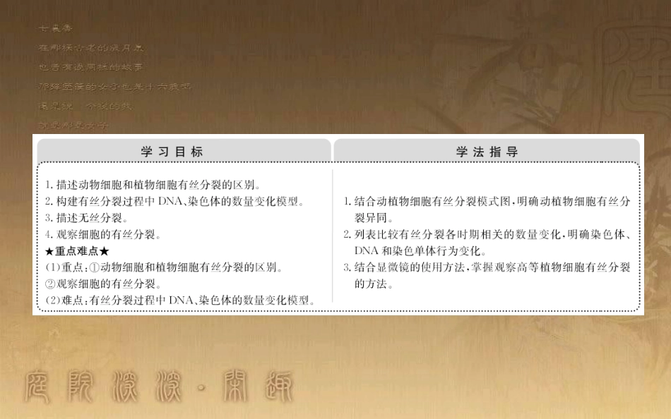 高中生物 第六章 细胞的生命历程 第一节 细胞的增殖 6.1.2优质课件 新人教版必修1_第2页