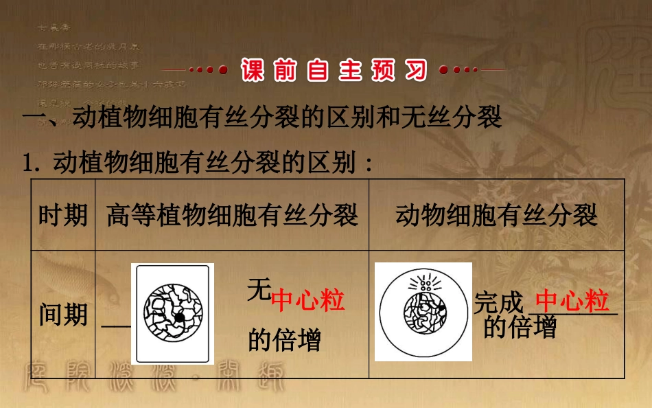 高中生物 第六章 细胞的生命历程 第一节 细胞的增殖 6.1.2优质课件 新人教版必修1_第3页