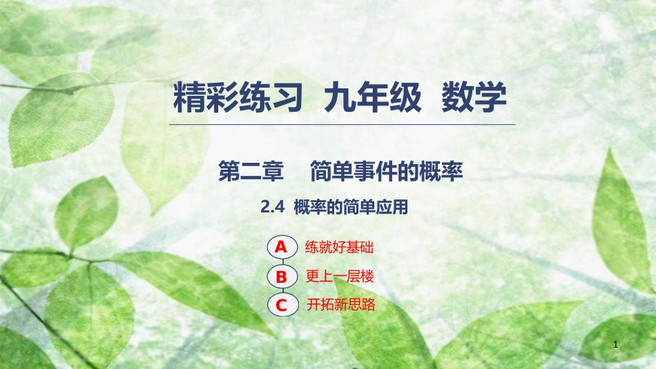 九年级数学上册 第二章 简单事件的概率 2.4 概率的简单应用优质课件 （新版）浙教版_第1页