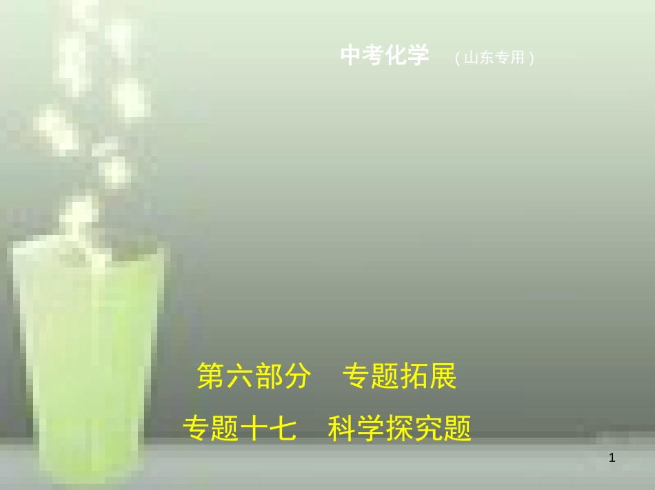 （山东专版）2019年中考化学复习 专题十七 科学探究题（试卷部分）优质课件_第1页