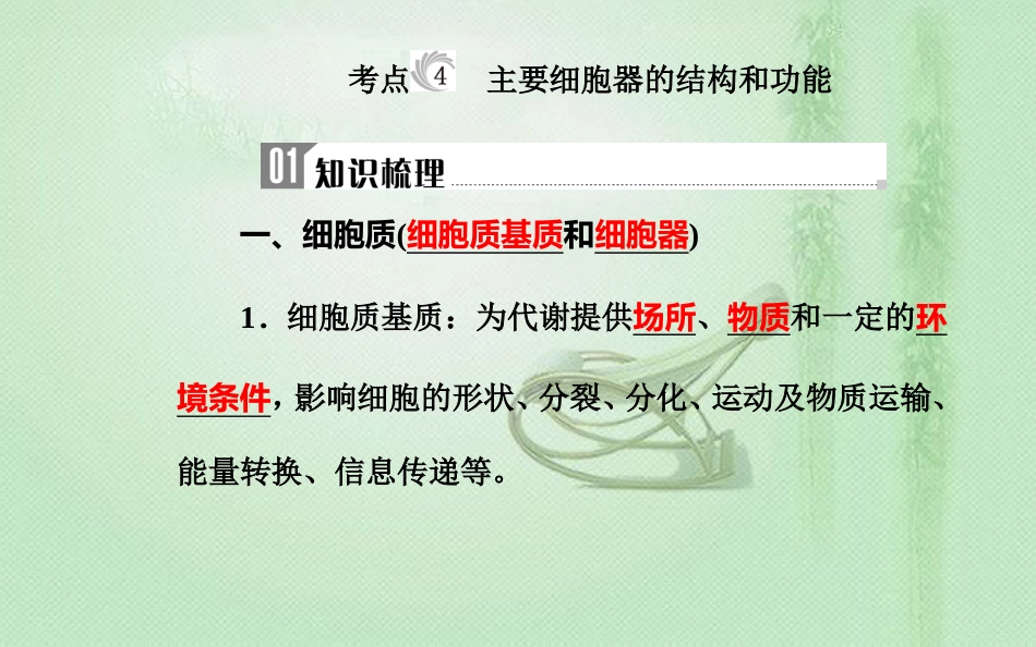 高中生物学业水平复习 专题二 细胞的结构 考点4 主要细胞器的结构和功能优质课件_第2页