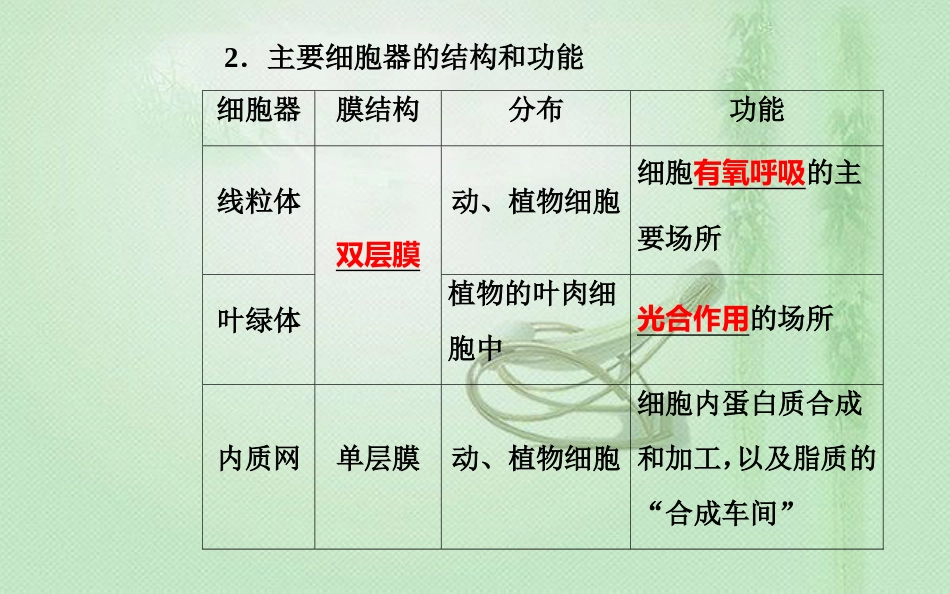 高中生物学业水平复习 专题二 细胞的结构 考点4 主要细胞器的结构和功能优质课件_第3页
