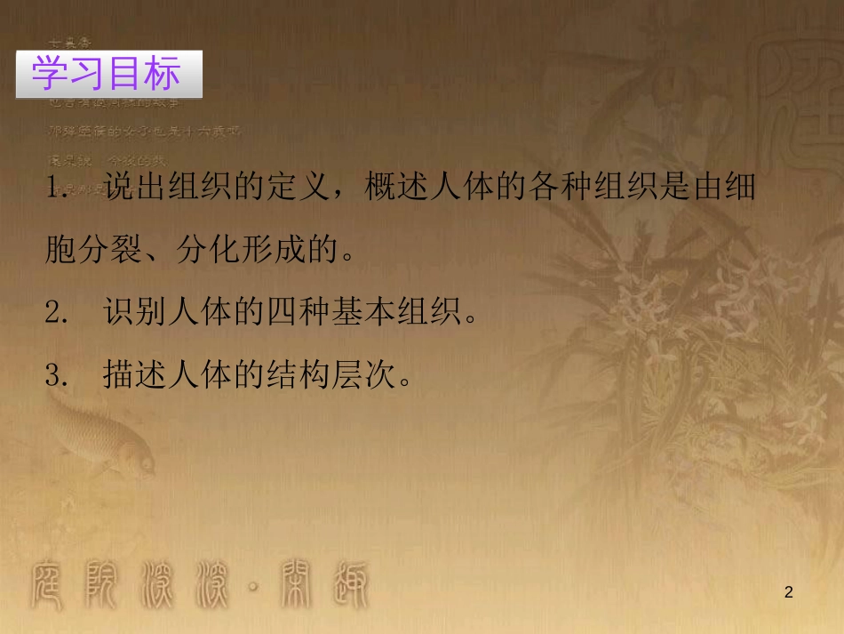 七年级生物上册 第二单元 第二章 第二节 动物体的结构层次优质课件 （新版）新人教版_第2页