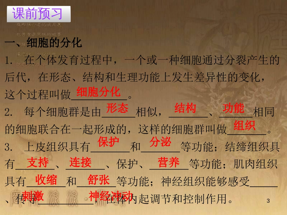 七年级生物上册 第二单元 第二章 第二节 动物体的结构层次优质课件 （新版）新人教版_第3页