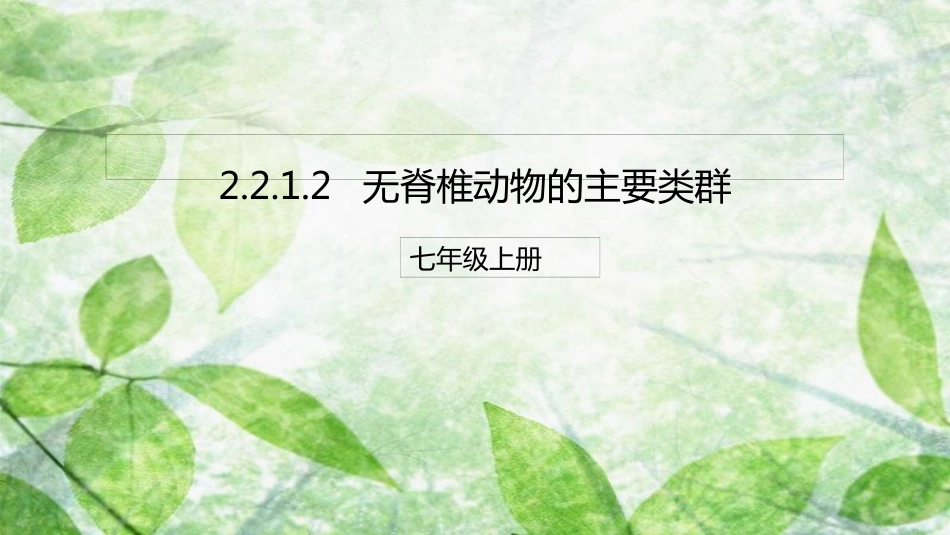 七年级生物上册 2.2.1 无脊椎动物的主要类群优质课件 （新版）济南版_第1页