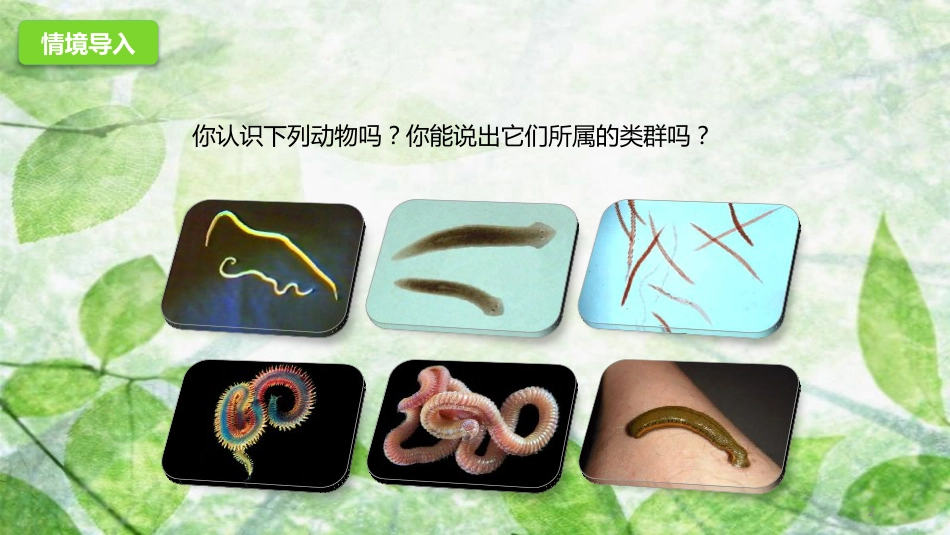 七年级生物上册 2.2.1 无脊椎动物的主要类群优质课件 （新版）济南版_第2页