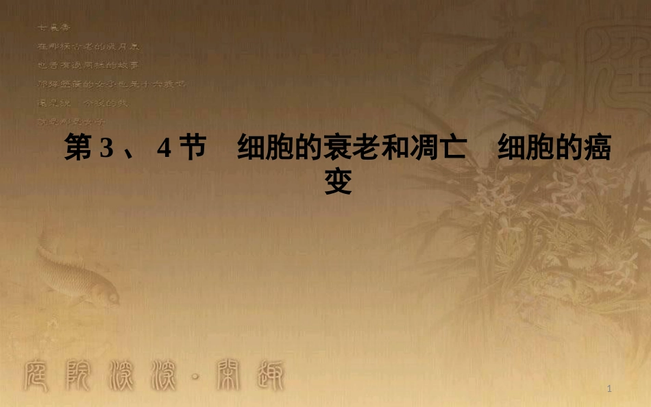 高中生物 第6章 细胞的生命历程 第3、4节 细胞的衰老和凋亡 细胞的癌变优质课件 新人教版必修1_第1页