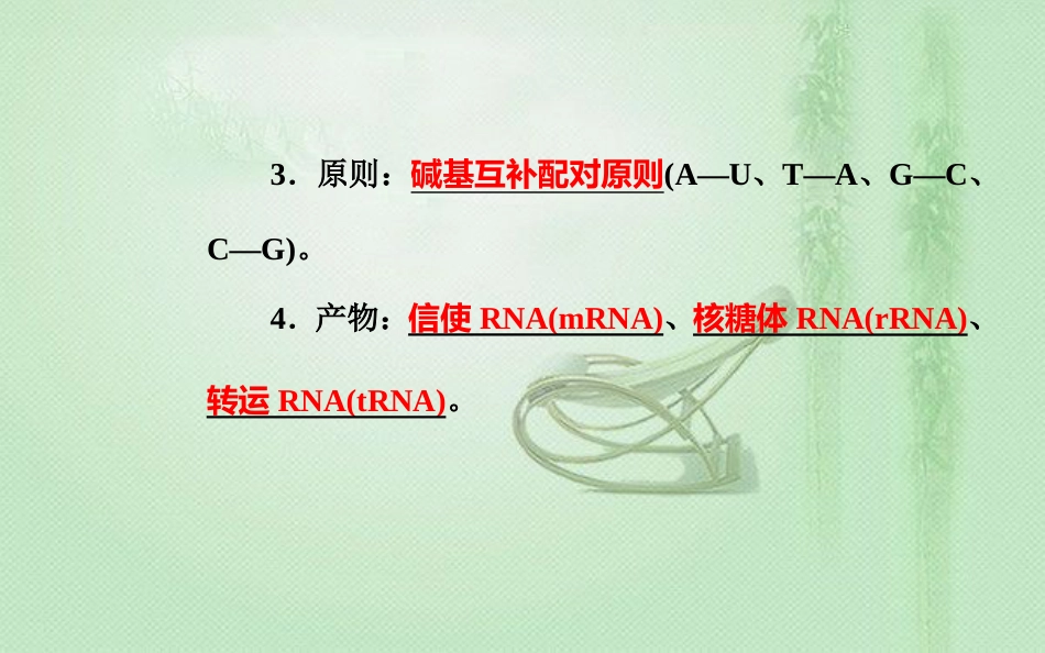 高中生物学业水平复习 专题七 遗传的分子基础 考点5 遗传信息的转录和翻译优质课件_第3页