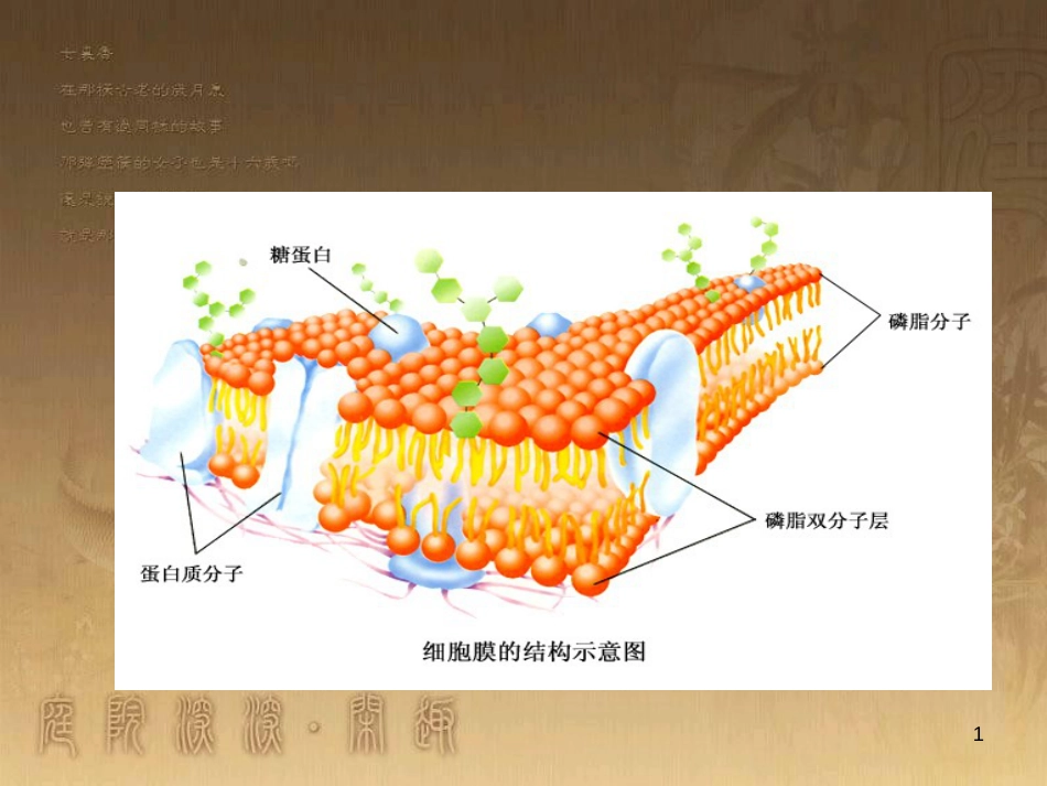 高中生物 专题4.2 生物膜的流动镶嵌模型优质课件 新人教版必修1_第1页